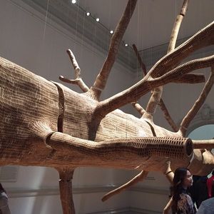 Meet your Posher, Allie